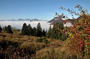 2010-10-09_5566 Inntal Oberaudorf